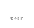 尚海金蟬裝飾